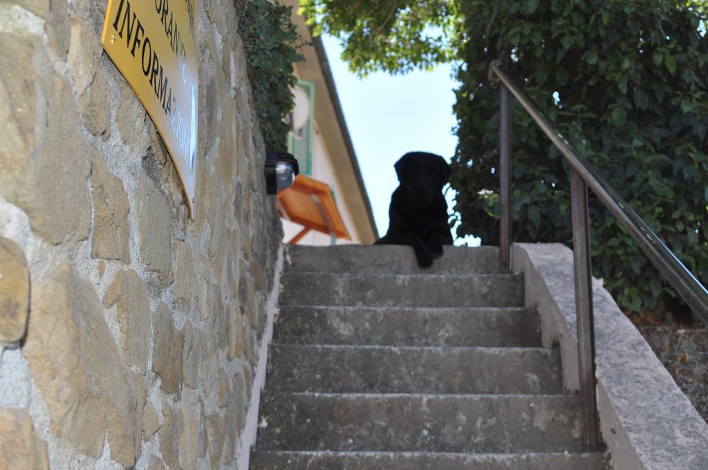 Agriturismo Il Cerrosughero Villa Scarlino Buitenkant foto